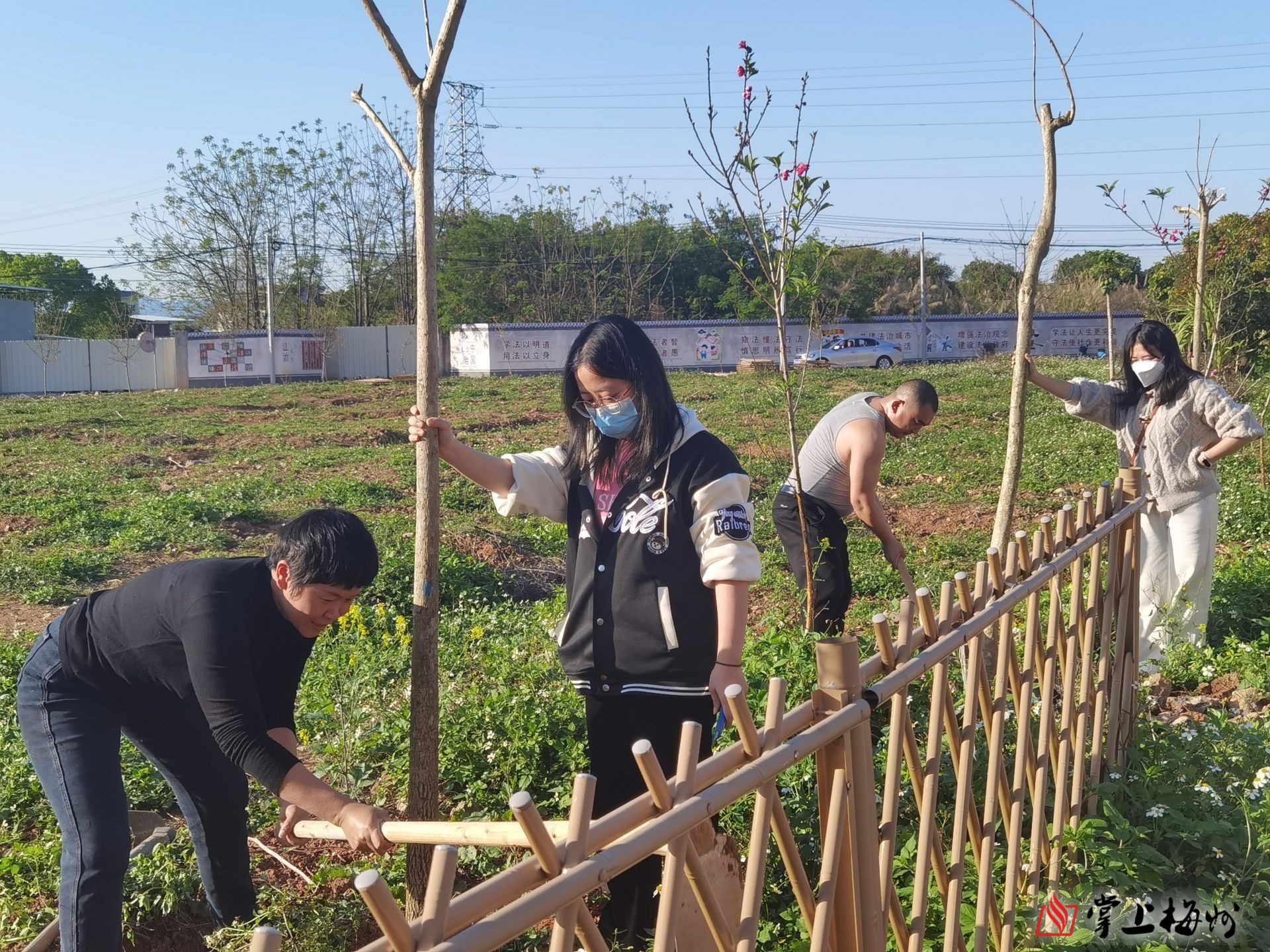 再添新绿！梅江区西郊街道组织开展植树活动2.jpg